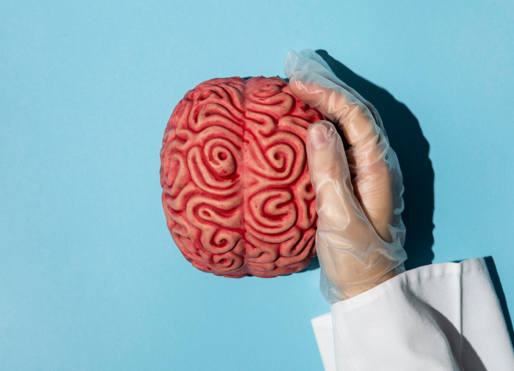 Причины алкогольной эпилепсии